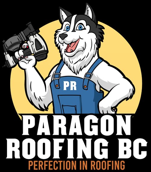 Paragon Roofing